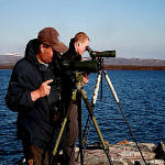 75 Tanja Kyykka Bird watching in Ovre Pasvik.JPG